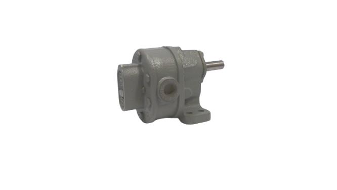 Bsm Pump 713-20-3