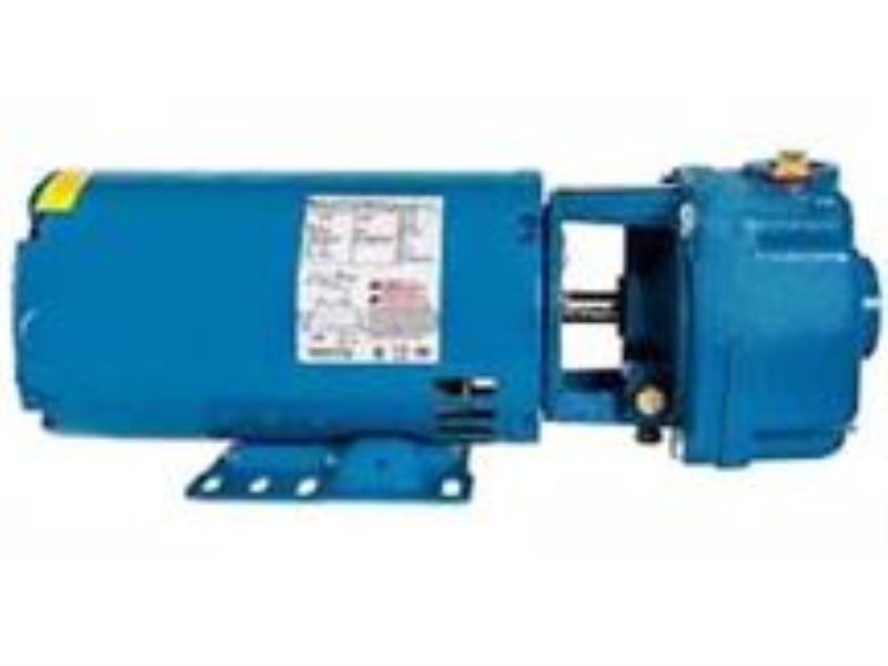 Crane Pumps & Systems Inc 10CS5M