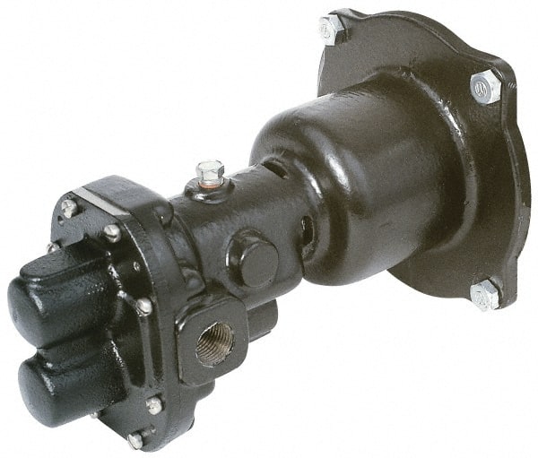 Pentair NG11V-PH