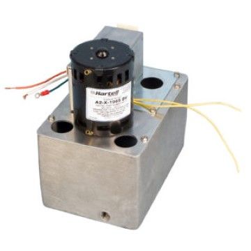Hartell Pumps A2-X-1965