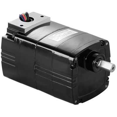 Bodine Electric 5462