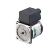Oriental Motor 5IK40GN-CWTE