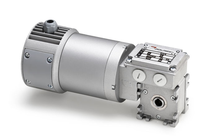Mini Motor MC100P