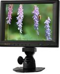 Lilliput 859GL-80NP/C