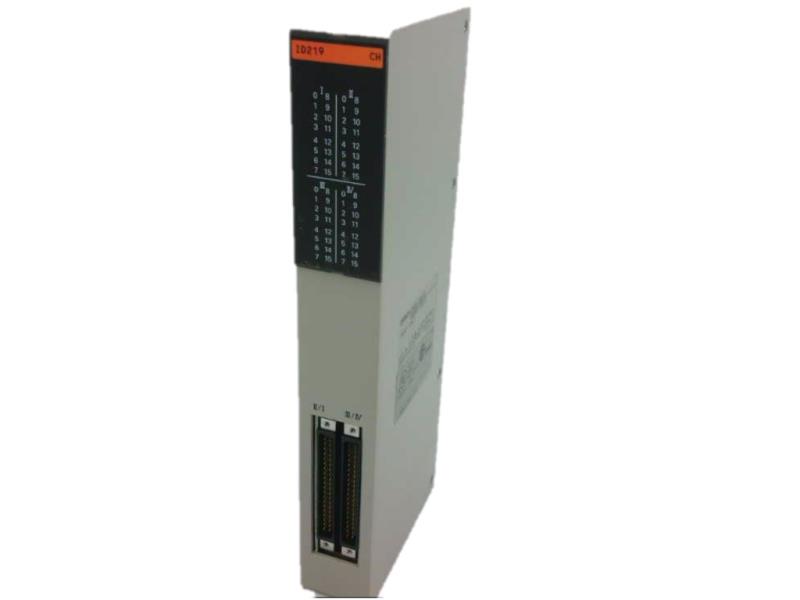 Omron C500-ID219