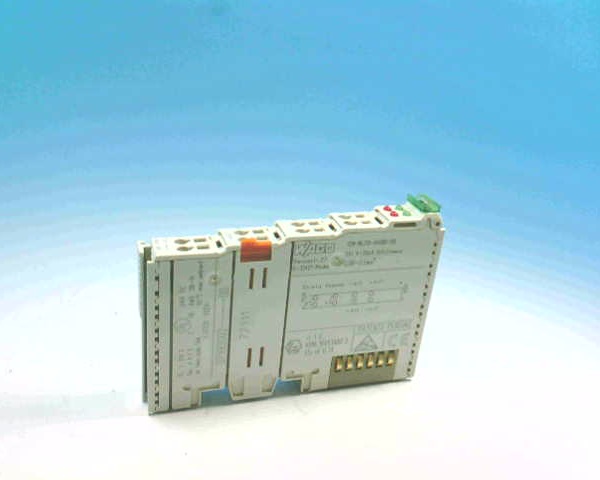 Wago 750-454/000-200