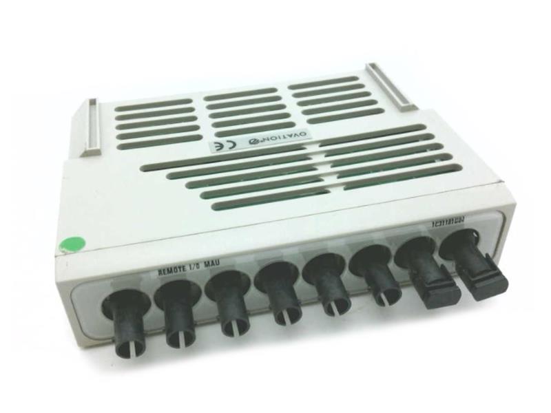 Emerson 1C31181G04