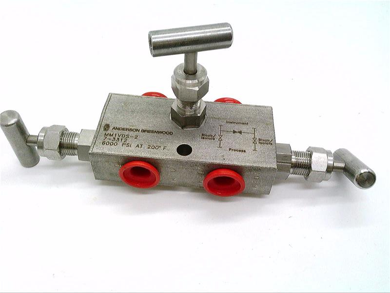 Pentair MM1VDS-2