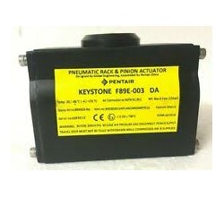 Pentair F89E-003-DA