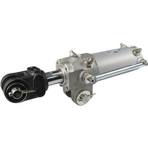Smc CKP1T63-100Y2PN
