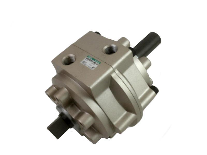 Ckd Corp RVS300-180
