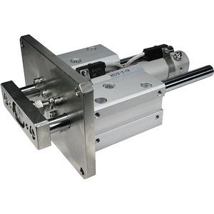 Smc MGCLB40-300-X440