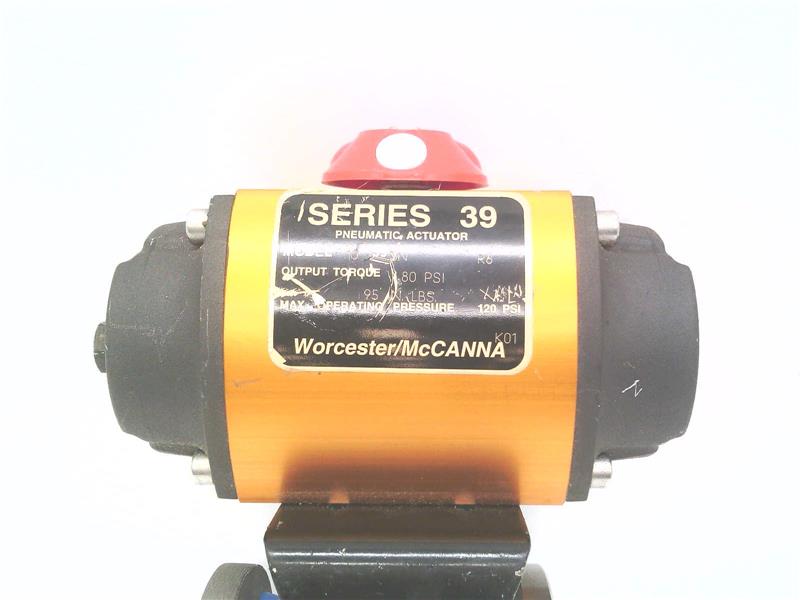 Flowserve 1039SNR6