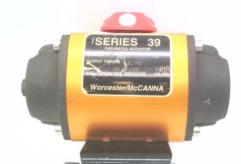 Flowserve 1039SNR4