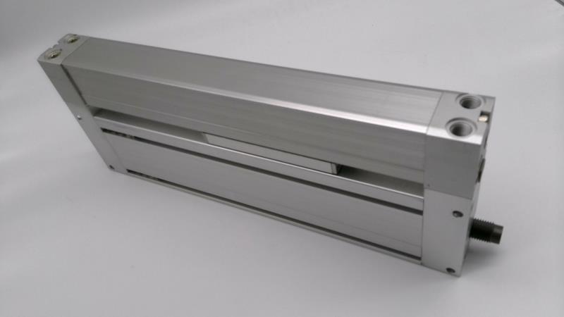 Smc MY2H25TFG-100H