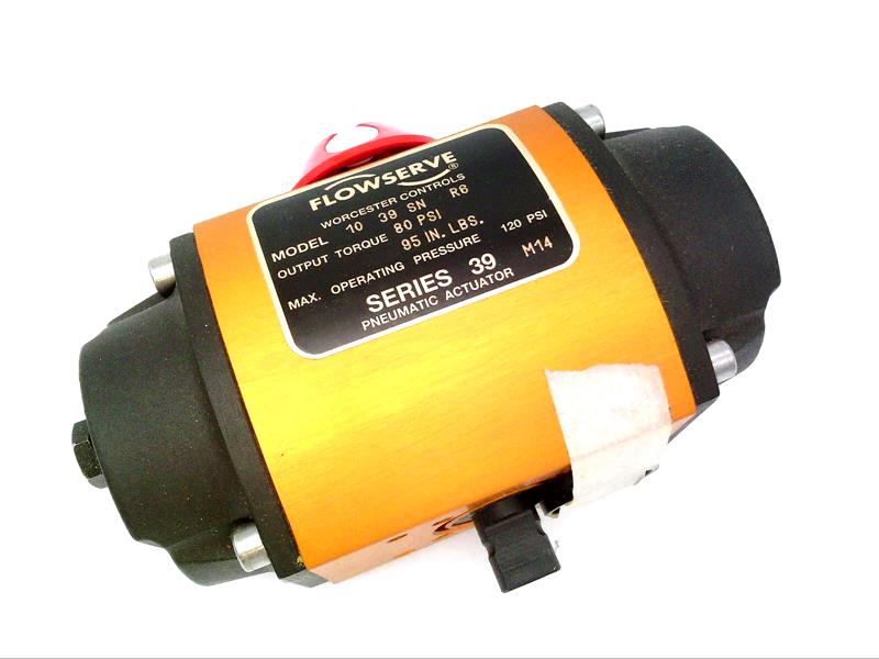Flowserve 1039SN