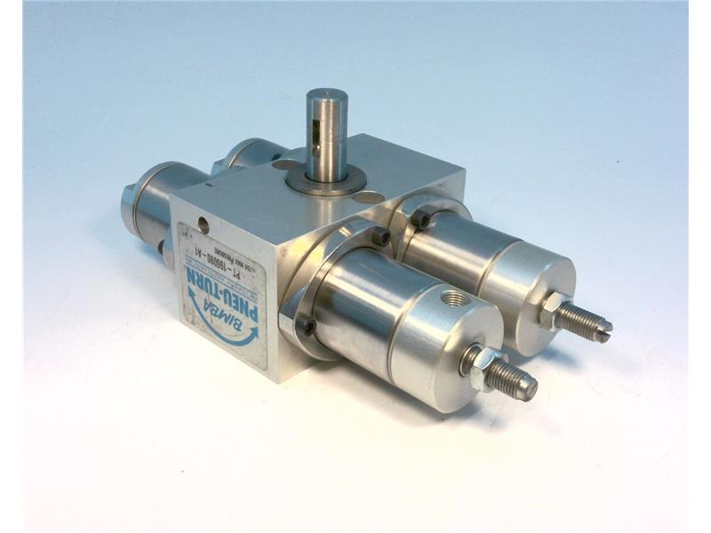 Bimba PT-196090-A1