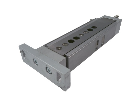 Festo DGSL-8-50-P1A