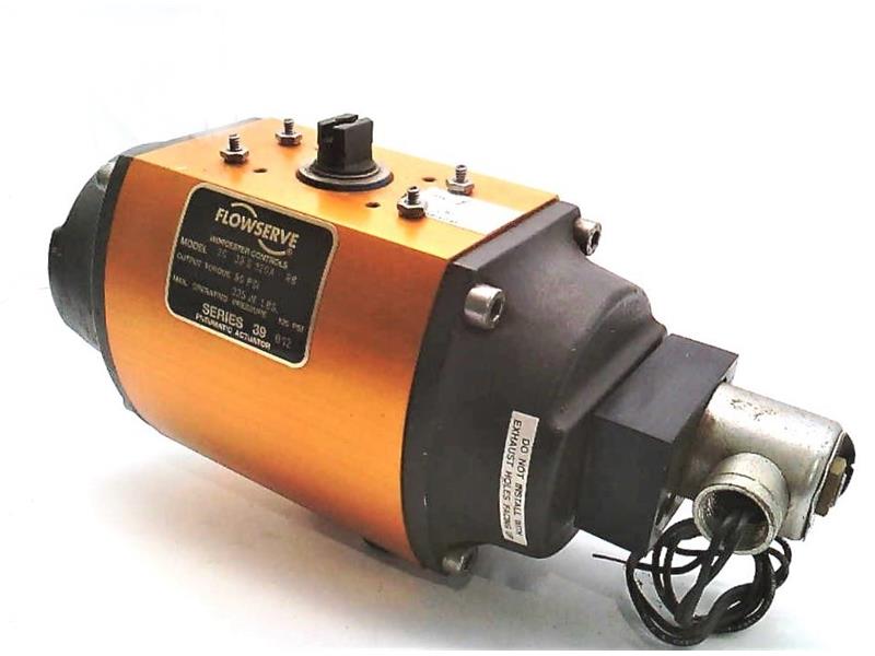 Flowserve 20-39-S-120A-R6