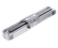 Festo DGPL-12-125-PAGFB