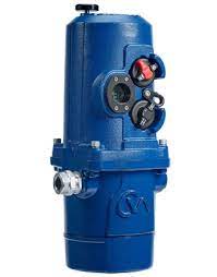 Rotork CMQ500-I-FM-120VAC-M00-D0