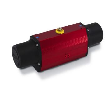 Rotork 165318