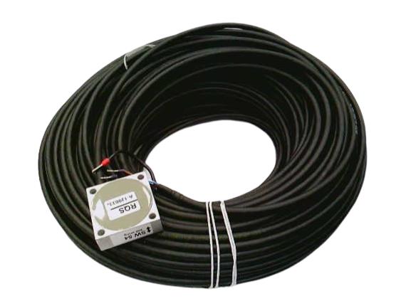 Reo Usa Inc 45754