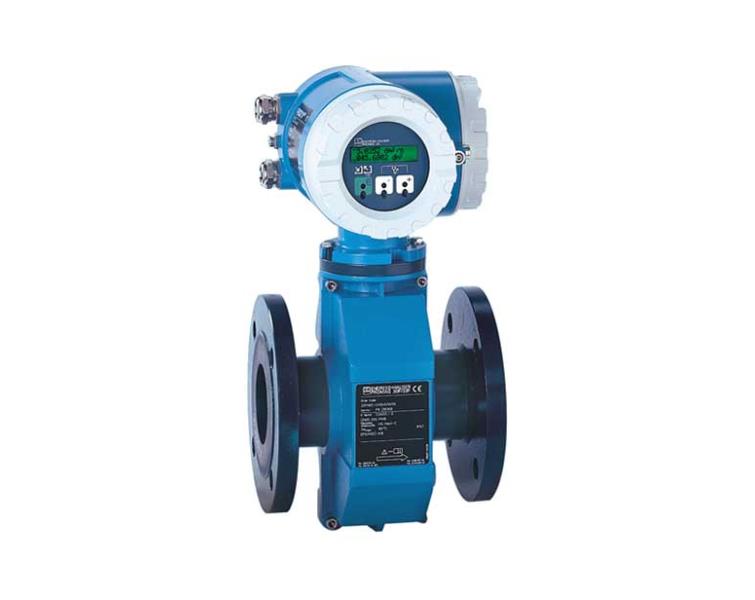 Endress & Hauser 33FH1F CD1AA11A21A