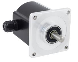 Elap RE621-1000-8/24-R-10-LD5V