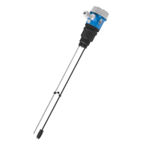 Endress & Hauser FMI21-D2D2C1
