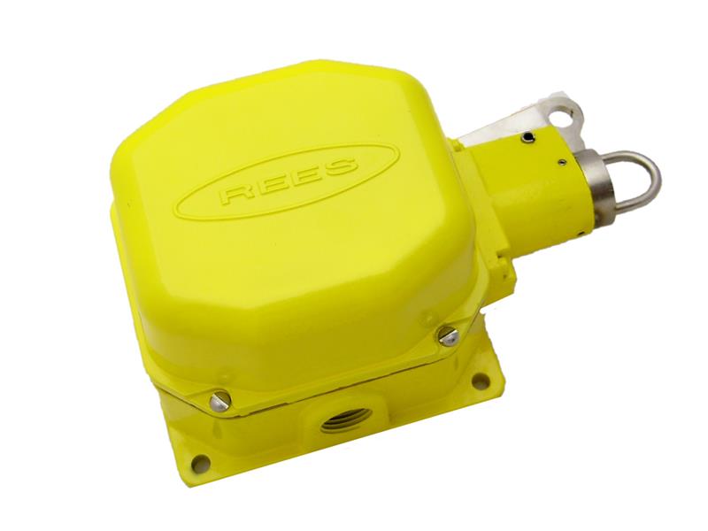 Rees 4953132