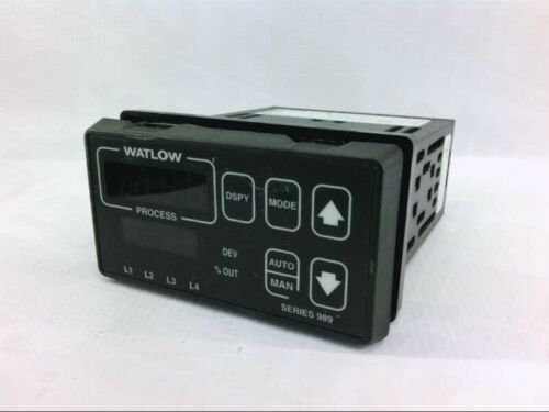 Watlow 989L-10KA-AARG