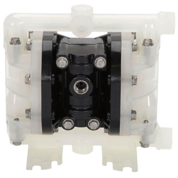 All Flo Pump A025SPP-TTPT-2190