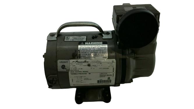 Thomas Pumps 160203