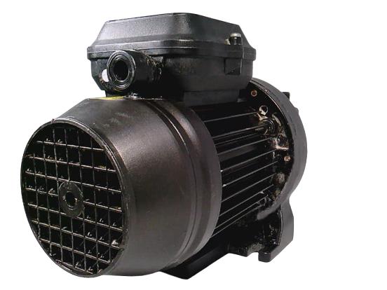 Speck Pump V 600